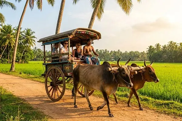 Classic Sri Lanka