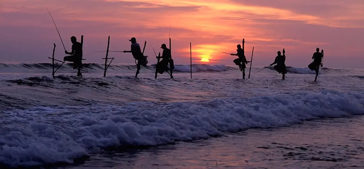 Essential Sri Lanka