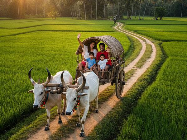 Bullock cart riding