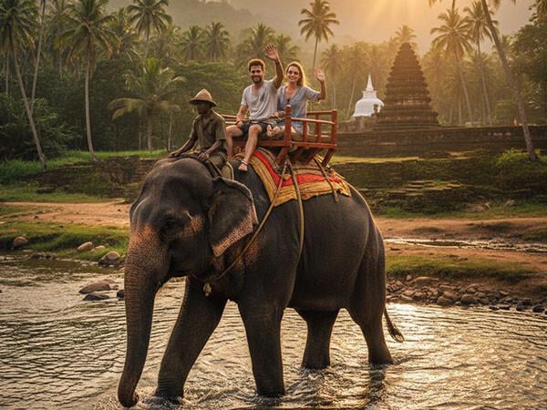Elephant riding