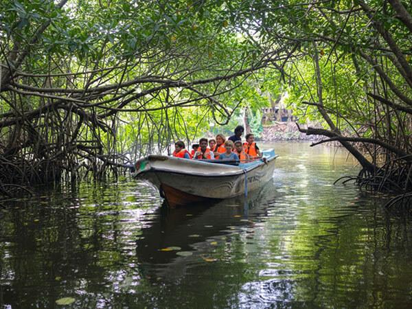 River boat safari