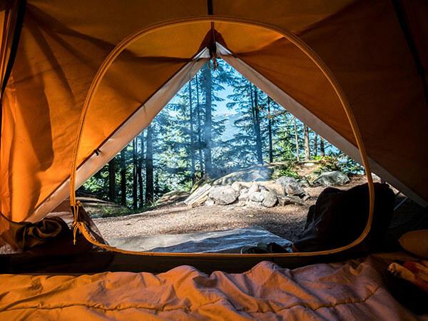 Safari camping