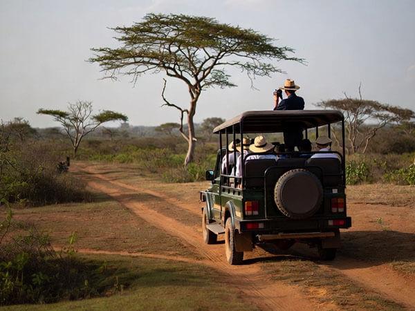 Wild life safaris